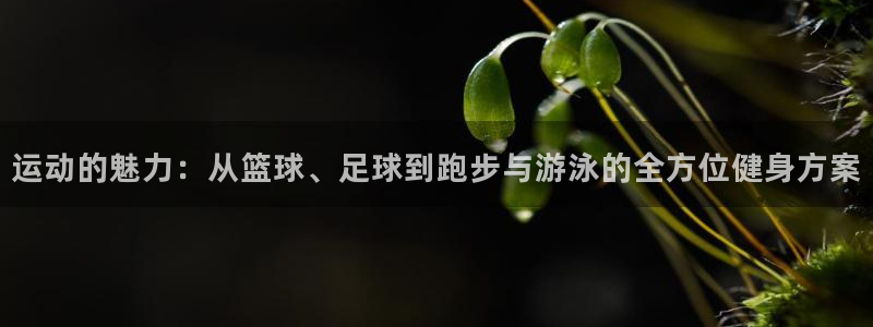 678体育app