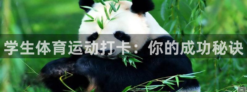 皇冠678体育