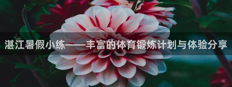 678体育官网地址