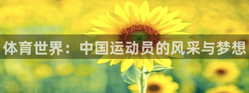 678体育app：体育世界：中国运动员的风采与梦想