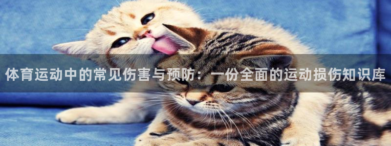 678体育app：体育运动中的常见伤害与预防：一份全面的运动损伤知识库