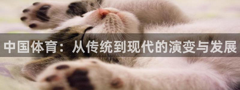 678体育：中国体育：从传统到现代的演变与发展