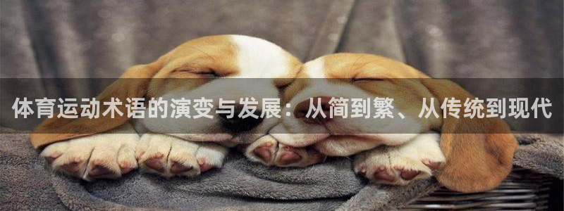 678体育：体育运动术语的演变与发展：从简到繁、从传统到现代