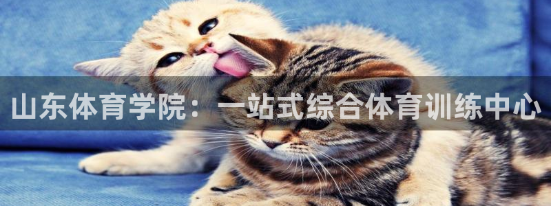 678体育：山东体育学院：一站式综合体育训练中心