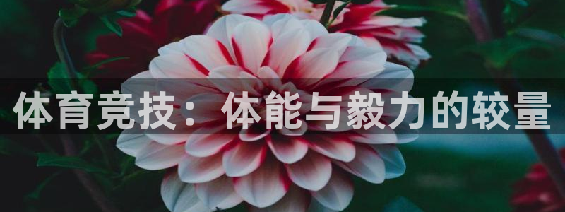 678体育app：体育竞技：体能与毅力的较量