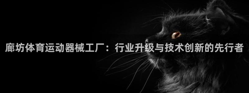 678体育app：廊坊体育运动器械工厂：行业升级与技术创新的先行者